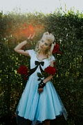 Wedding 08 2022
